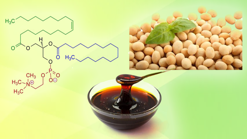 soya lecithin